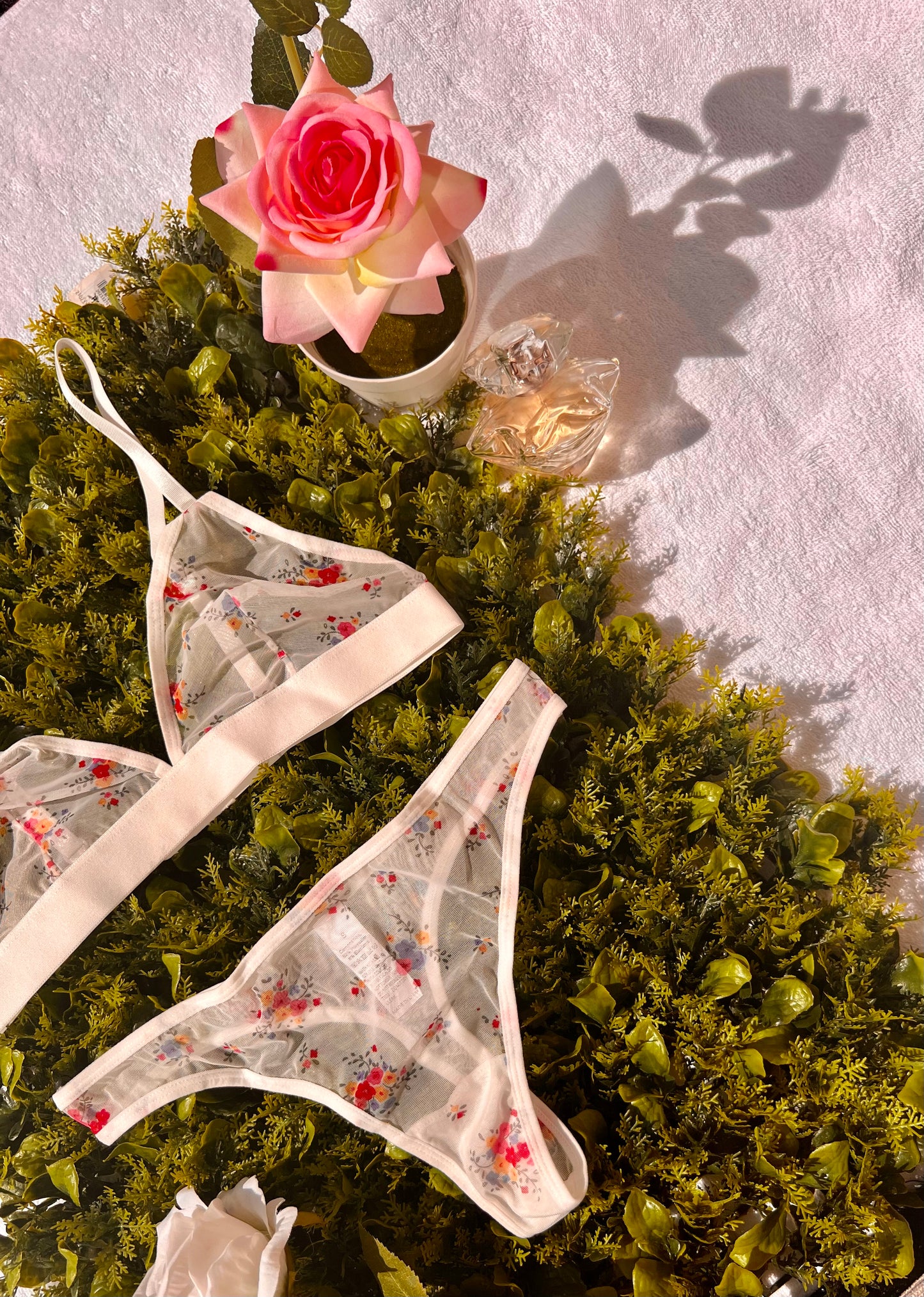 Sweet Sheer Floral White Lingerie