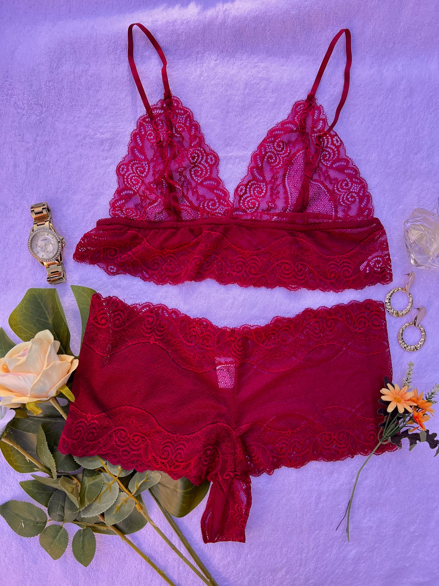 Soft Sheer Pattern Maroon Lingerie